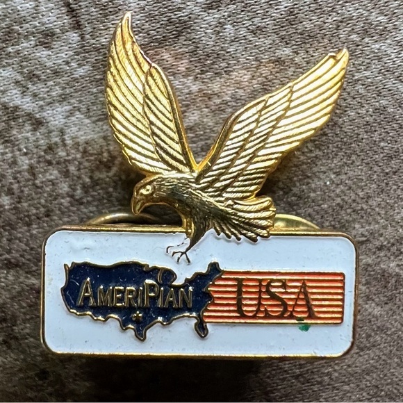 AmeriPlan USA Vintage Gold Tone Eagle Pin - Picture 2 of 4